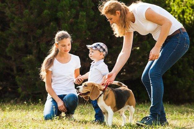 Tips on Training Your Dog to Interact with Your Toddler Safely