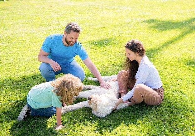 Factors to Consider When Selecting a Dog for Your Toddler